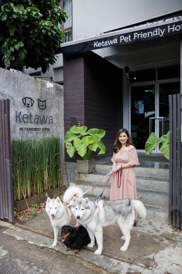 Ketawa Pet Friendly Hotel Чиангмай Экстерьер фото