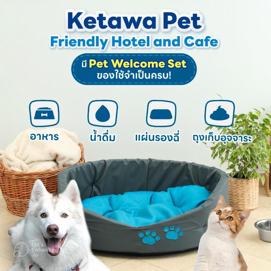 Ketawa Pet Friendly Hotel Чиангмай Экстерьер фото