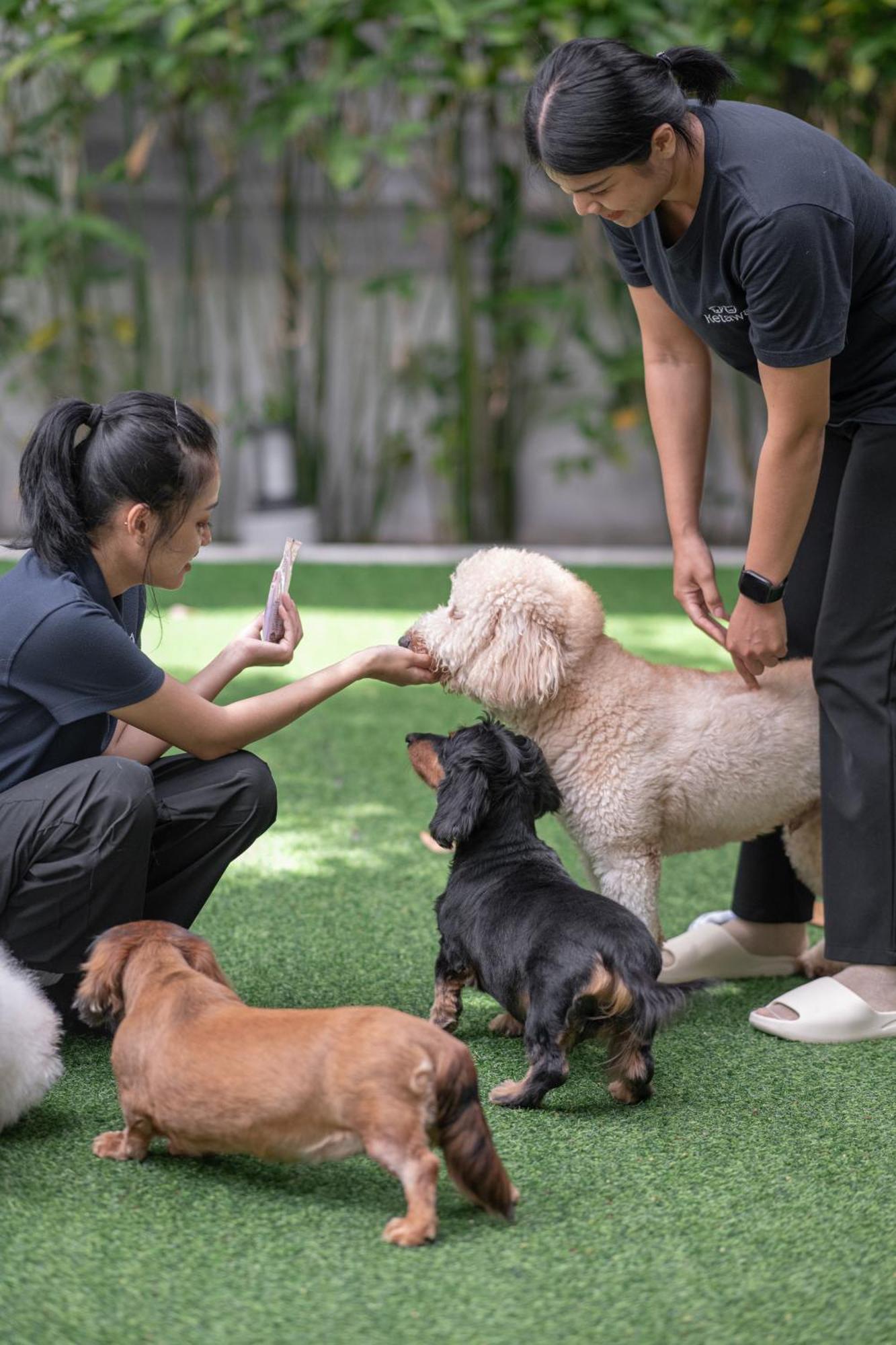 Ketawa Pet Friendly Hotel Чиангмай Экстерьер фото