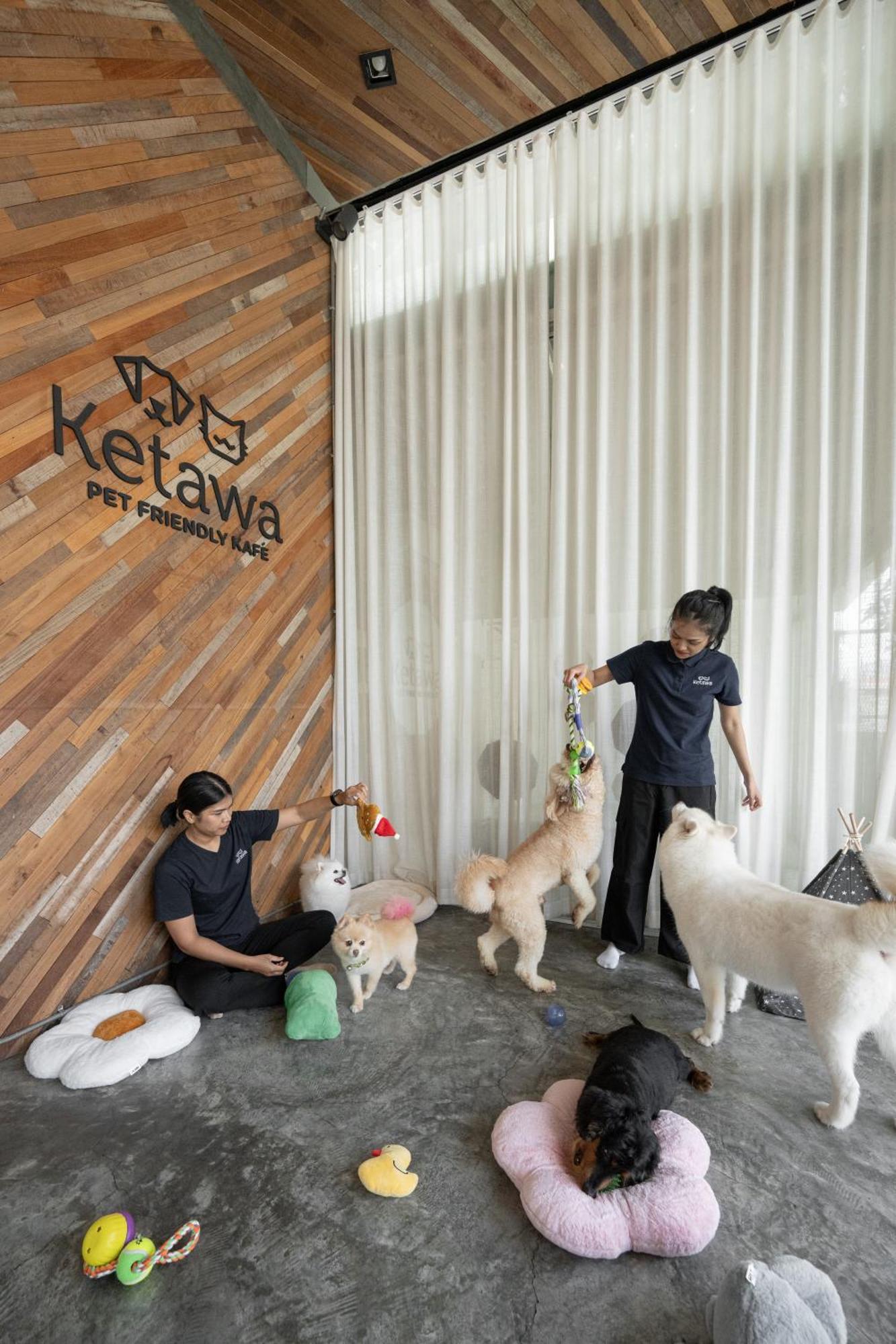 Ketawa Pet Friendly Hotel Чиангмай Экстерьер фото