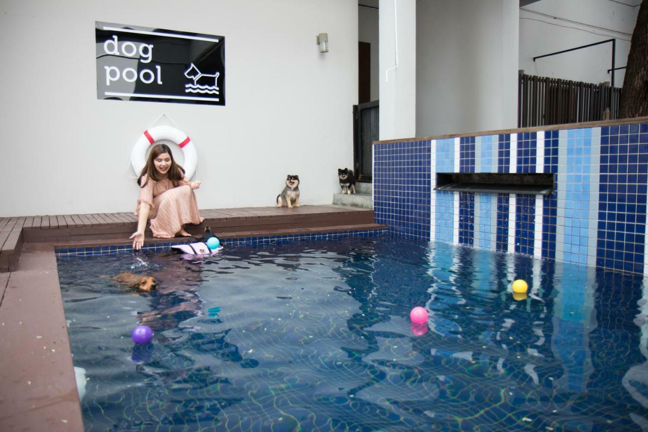 Ketawa Pet Friendly Hotel Чиангмай Экстерьер фото